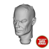 3D Printed Head: Brainiac Classic Alex Ross Version for WGSH 8" Action Figure